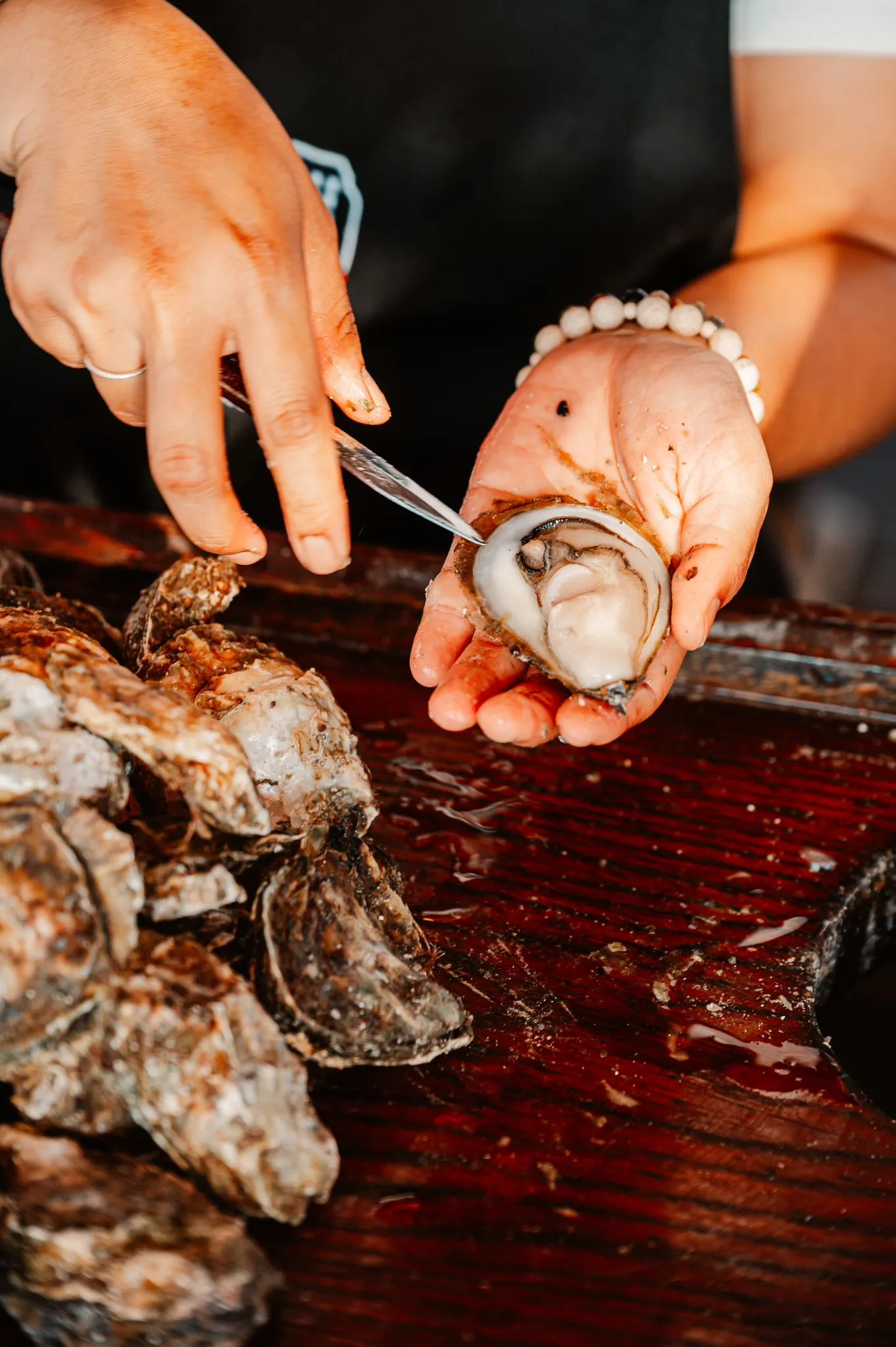 Oyster tasting