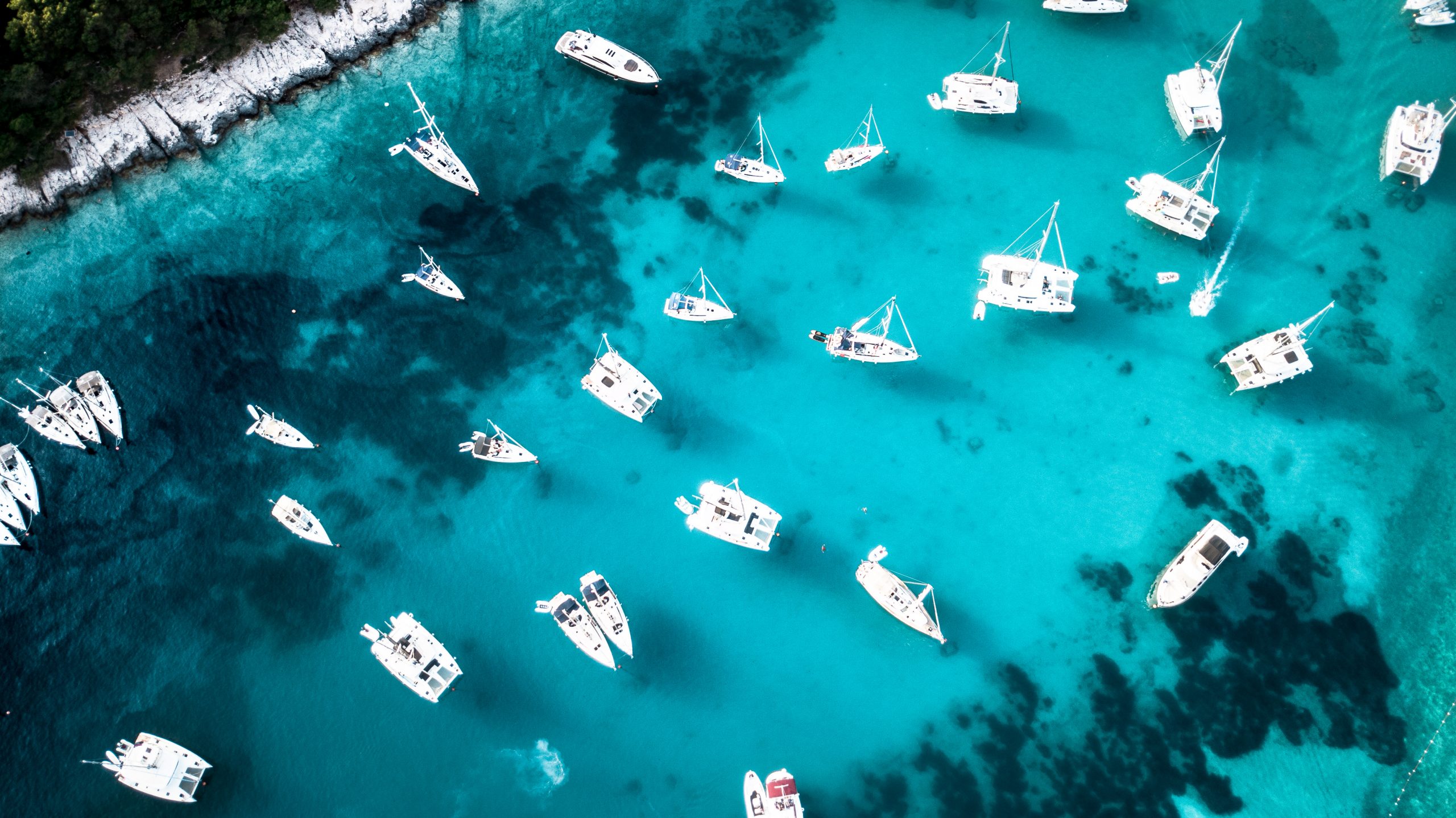 Palmižana, Hvar