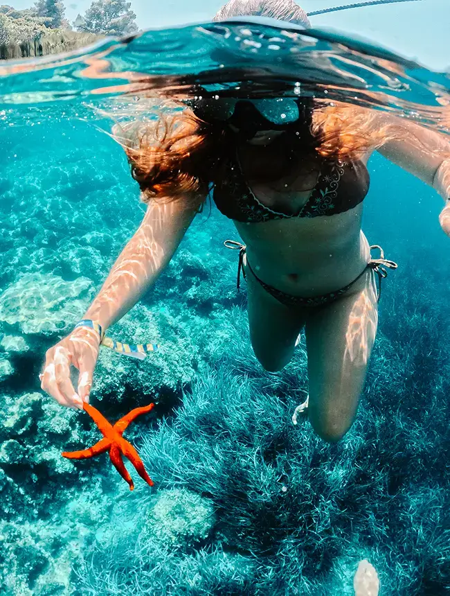 snorkeling / free diving